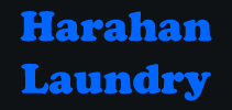 Footer Logo